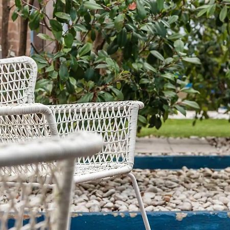 Inlapa Studio VI Porto Garden المظهر الخارجي الصورة
