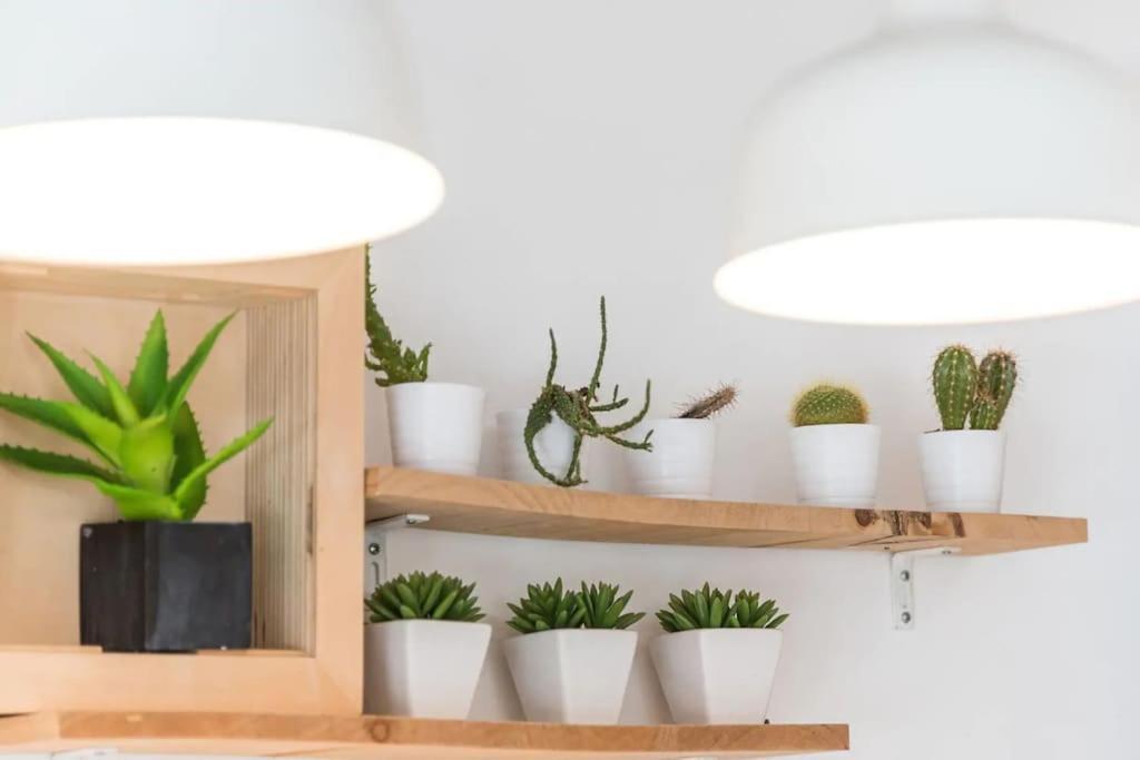 Inlapa Studio VI Porto Garden المظهر الخارجي الصورة