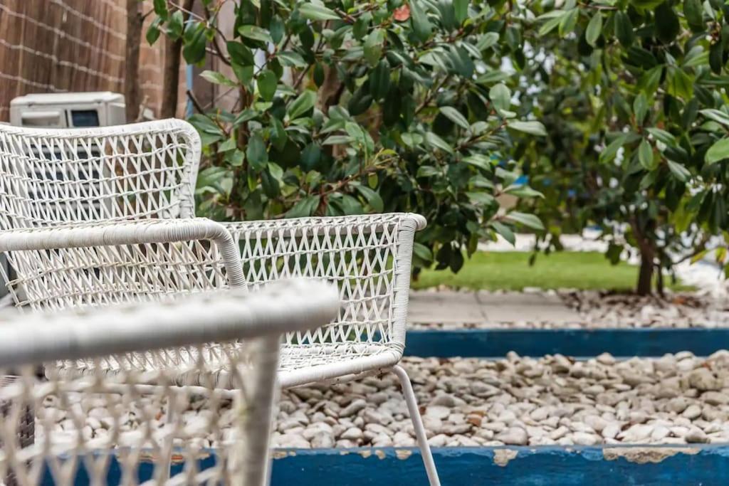 Inlapa Studio VI Porto Garden المظهر الخارجي الصورة